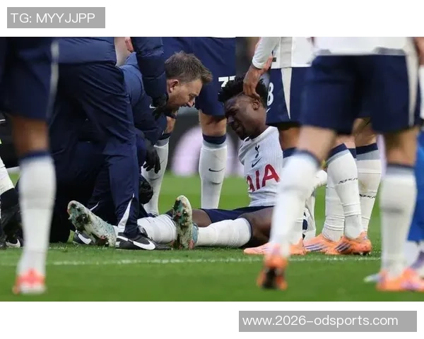 电讯报透露库杜斯伤情严重热刺冬窗或引进新前锋补强阵容 电讯报透露库杜斯伤情严重热刺冬窗或引进新前锋补强阵容